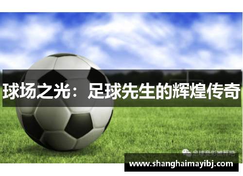 球场之光：足球先生的辉煌传奇