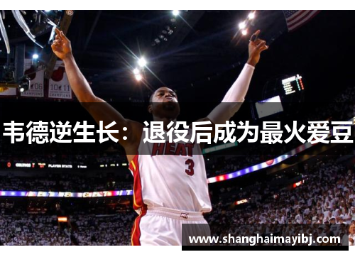 韦德逆生长：退役后成为最火爱豆